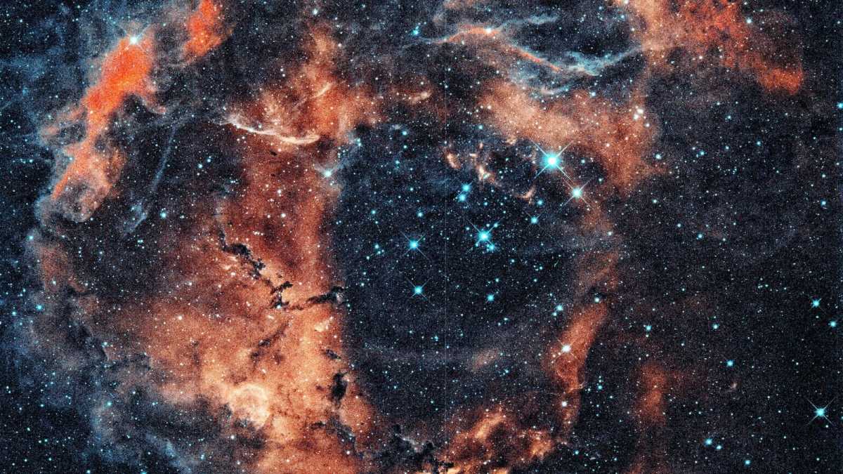 Immagine di Il processo spontaneo alle origini della vita. Incognite e possibilità