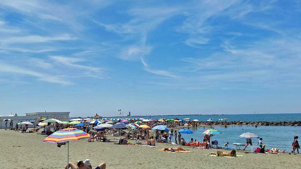 Immagine di Fiumicino mon amour: pesce, barche e stelle. Una piccola guida