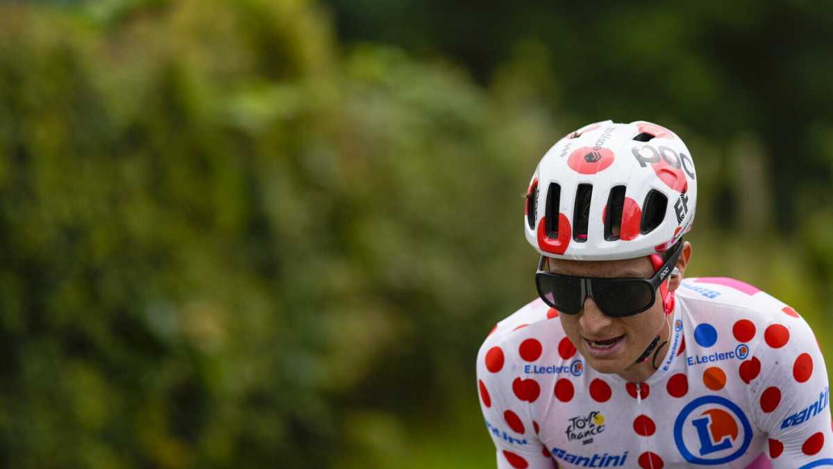 Immagine di Le montagne del Tour de France sono a pois
