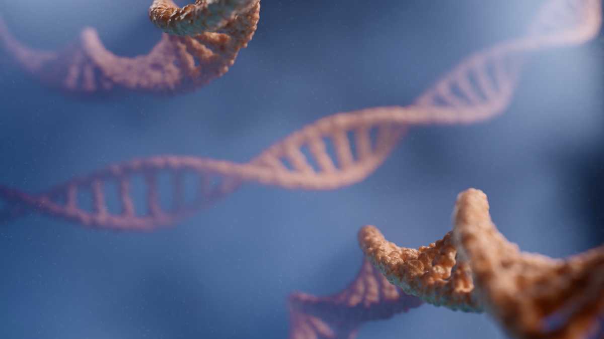 Immagine di L'analisi del Dna smaschera la "regina guerriera" e cambia il passato