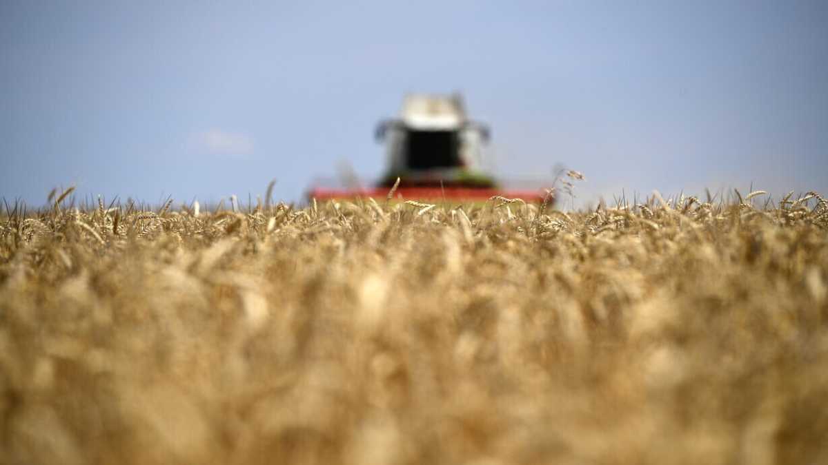 Immagine di È tornato El Niño e facciamo bene a essere preoccupati