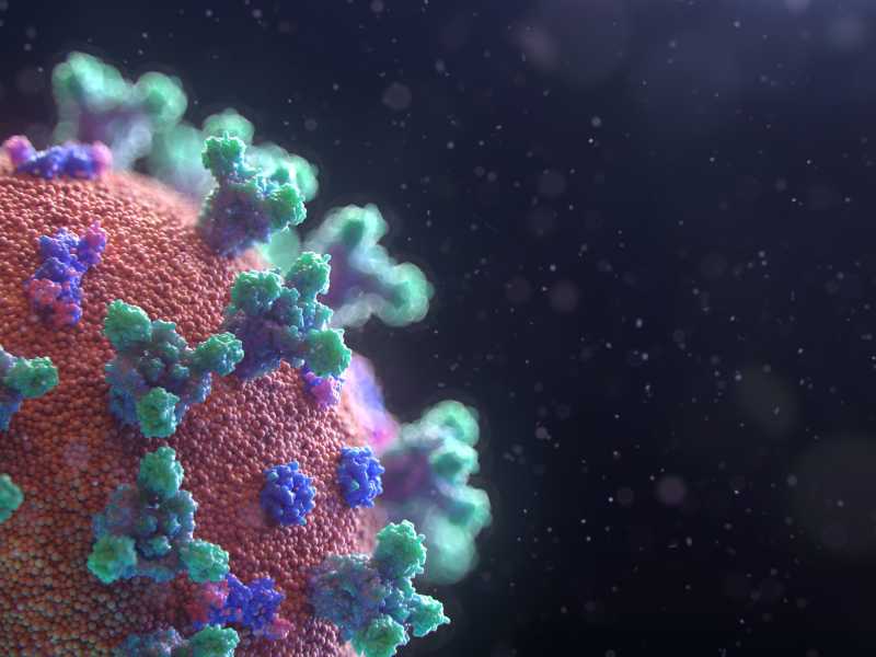 Foto di Fusion Medical Animation su Unsplash 