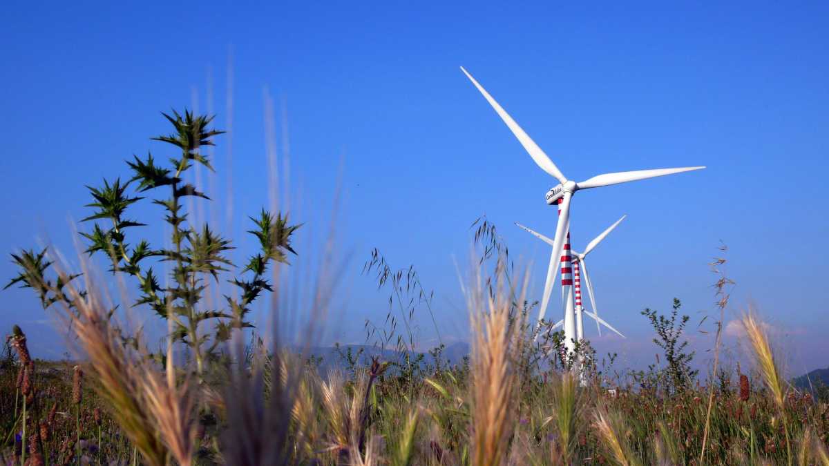 Immagine di Il Sud zona economica speciale è una rivoluzione. Ma occhio alle rendite