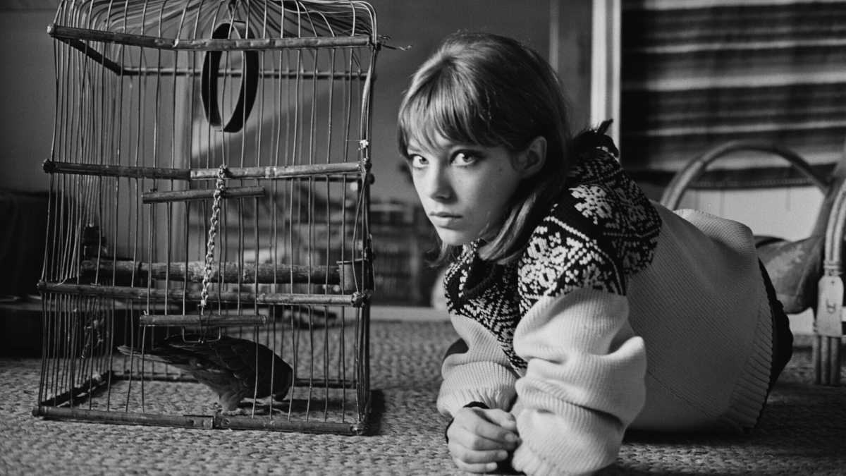Immagine di Jane Birkin, la donna che il mondo scambiò per una borsetta