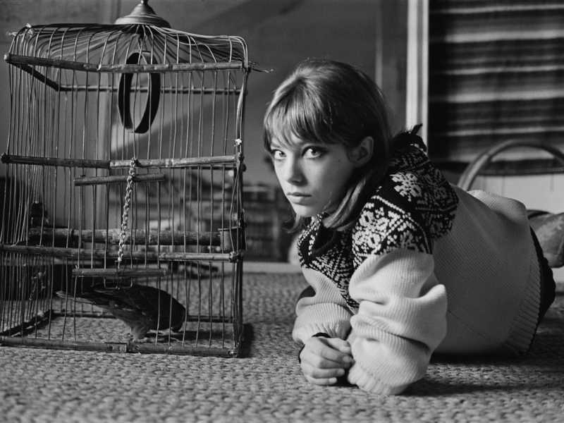 Jane Birkin, la donna che il mondo scambiò per una borsetta
