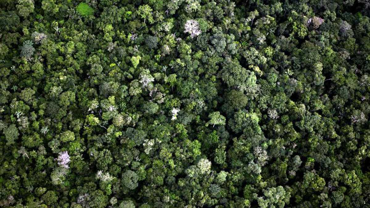 Immagine di Il cortocircuito logico e ideologico degli ambientalisti sull'accordo di libero scambio Ue-Mercosur