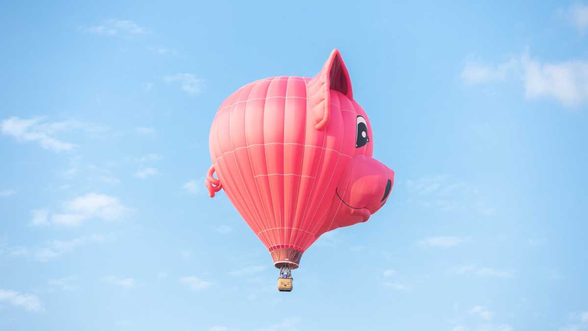 Immagine di "Stop ai maiali con le ali" e altre leggi bizzarre che possiamo aspettarci da questo governo