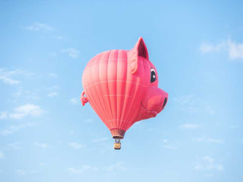 (foto di benjamin lehman su Unsplash)<br />