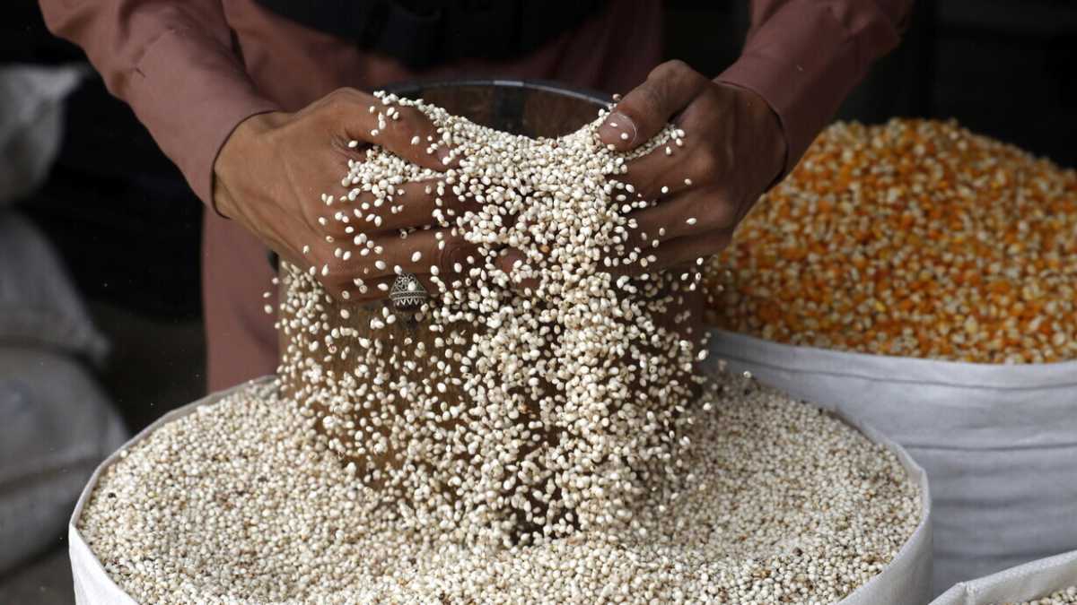 Immagine di Il blocco del grano di Putin chiama protezionismo: un guaio globale