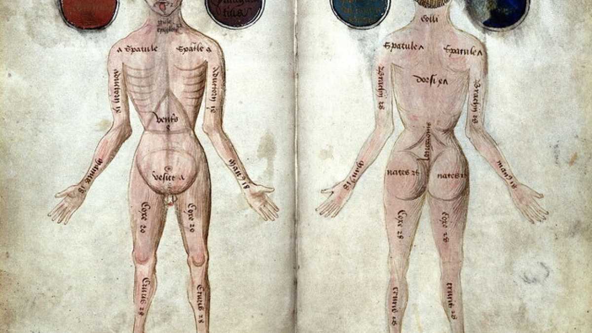 Immagine di Così stiamo scrivendo l'atlante del corpo umano