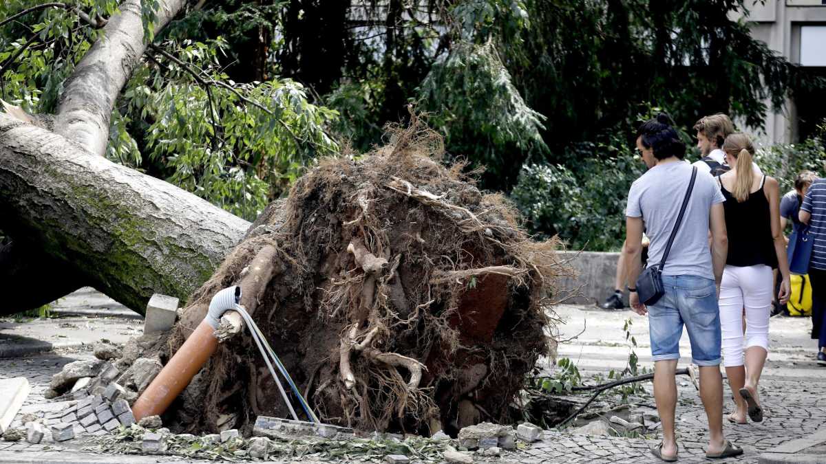 Immagine di Il problema è capire chi pagherà i danni del clima che cambia