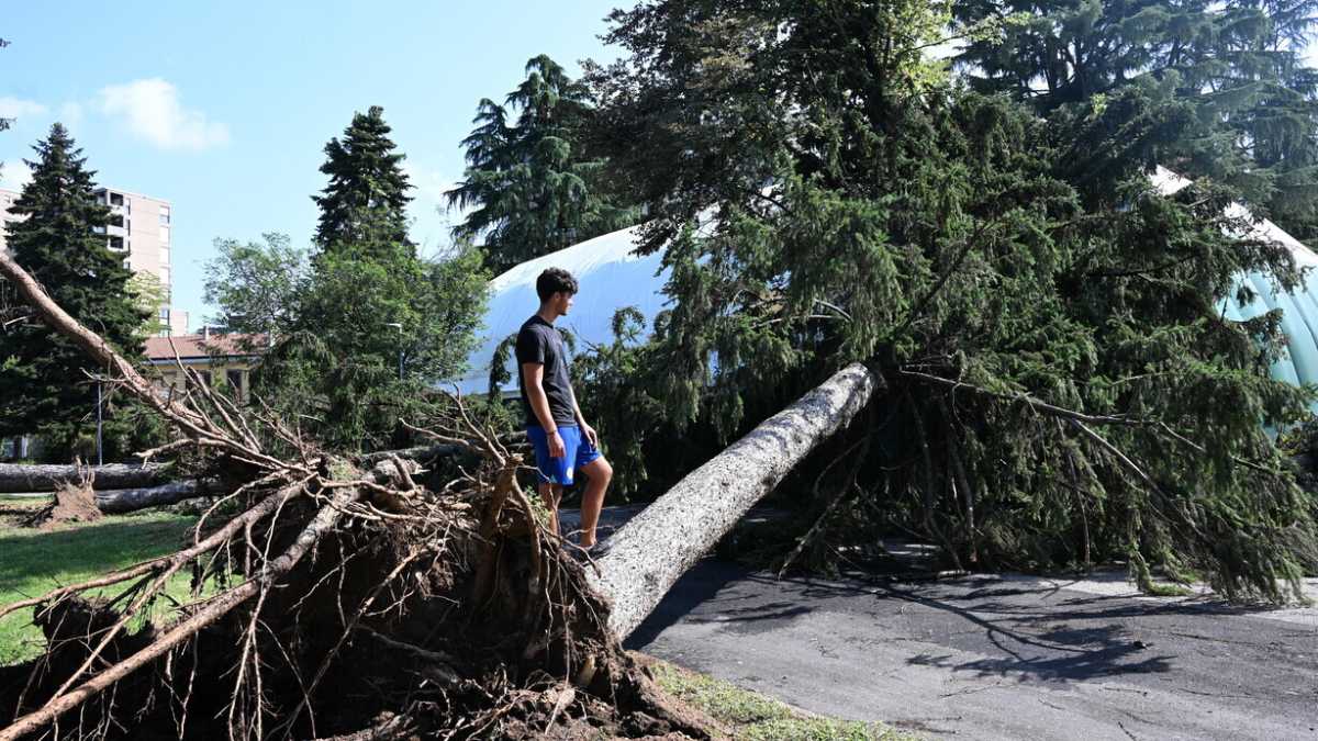 Immagine di Non si può attribuire al climate change ogni fenomeno avverso