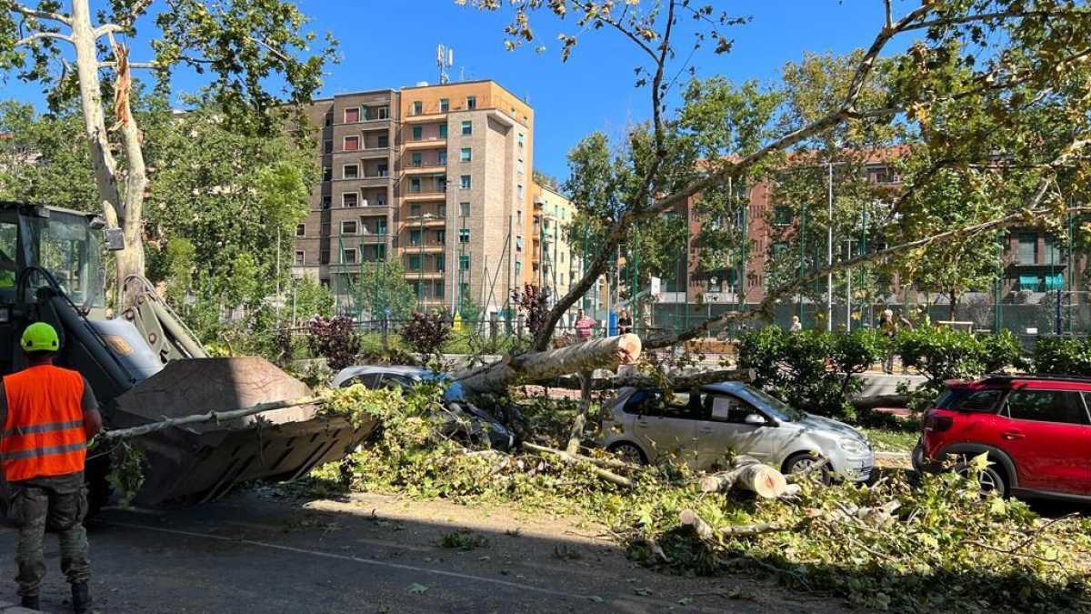 Immagine di Troppe concause ignorate quando si parla di cambiamenti climatici