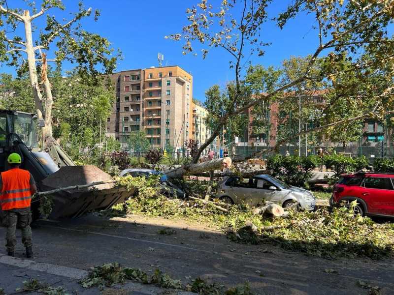 Troppe concause ignorate quando si parla di cambiamenti climatici