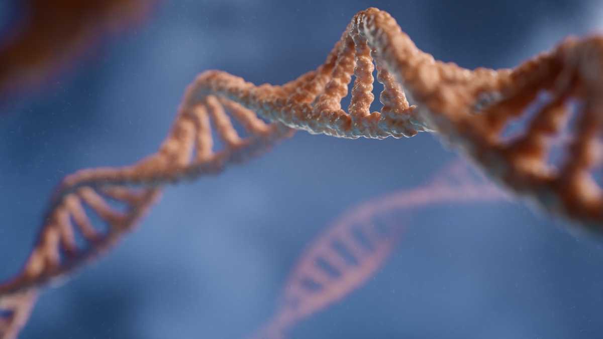 Immagine di Uno studio di Nature ha ricostruito due alberi genealogici della comunità preistorica