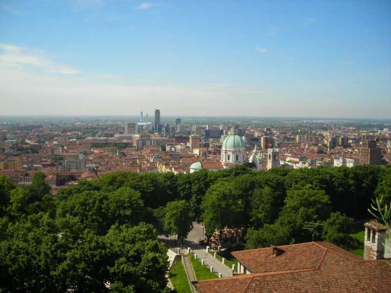 Wikimedia Commons 