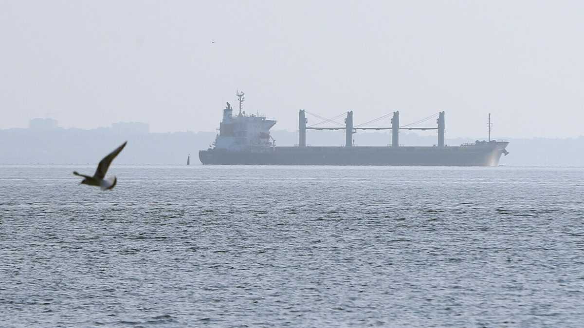 Immagine di Le operazioni di Kyiv contro le navi russe dimostrano a Mosca che anche le sue rotte non sono al sicuro