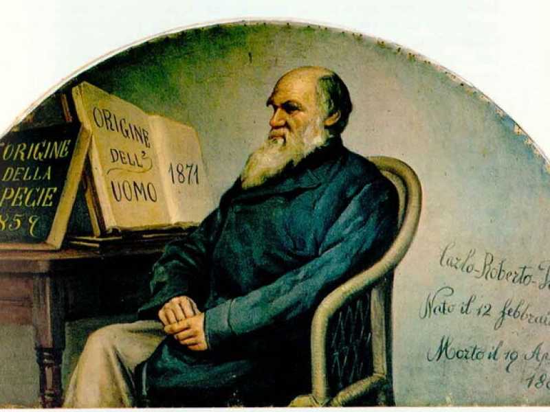 Panello del 1890 celebrante Darwin, Museo di anatomia umana di Torino (foto Wikipedia)