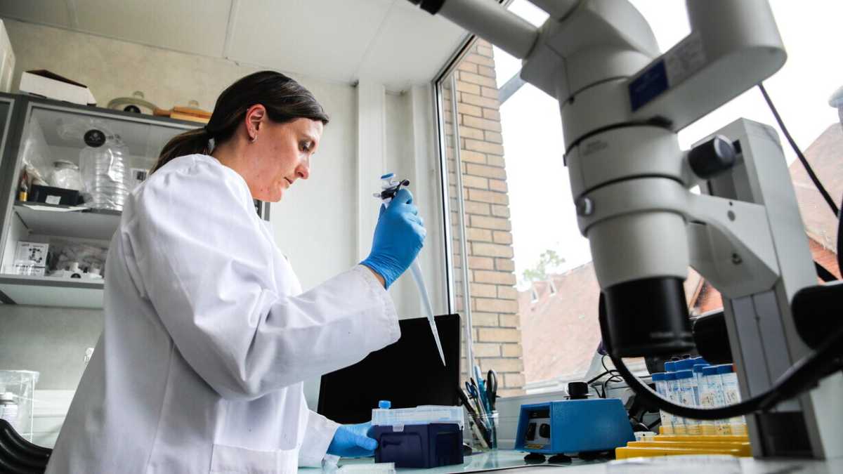 Immagine di Quanto conta lo spin nucleare nello sviluppo e nel funzionamento dei processi biologici