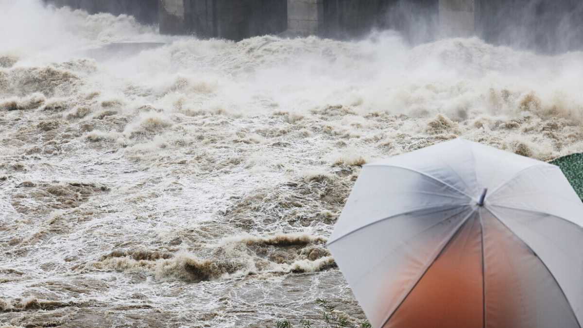 Immagine di Anche sull’ambiente, viva l’ottimismo contro i catastrofisti
