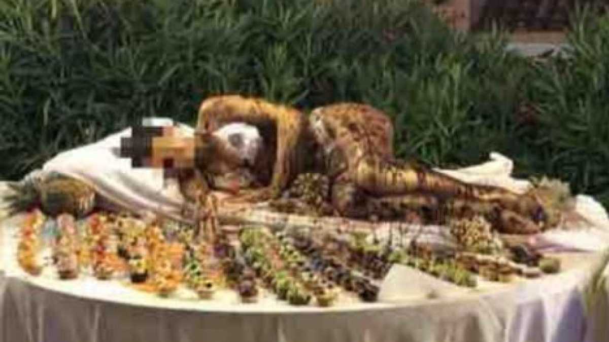 Immagine di Ok l'indignazione per la ragazza cosparsa di cioccolato, ma pensiamo anche ai poveri animatori