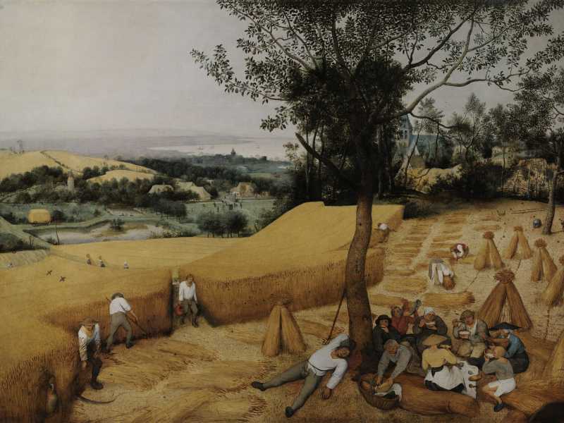 Pieter Bruegel il Vecchio, "Mietitura" (Wikipedia)