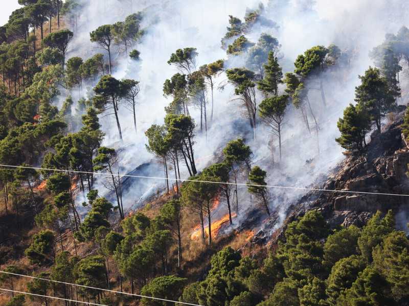 Gli incendi si possono prevenire. Il caso Calabria