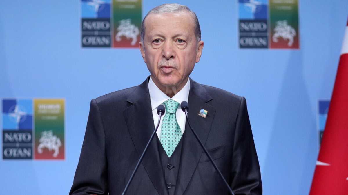 Immagine di Cosa vuole Erdogan dall’Unione europea? Utilità e dipendenze