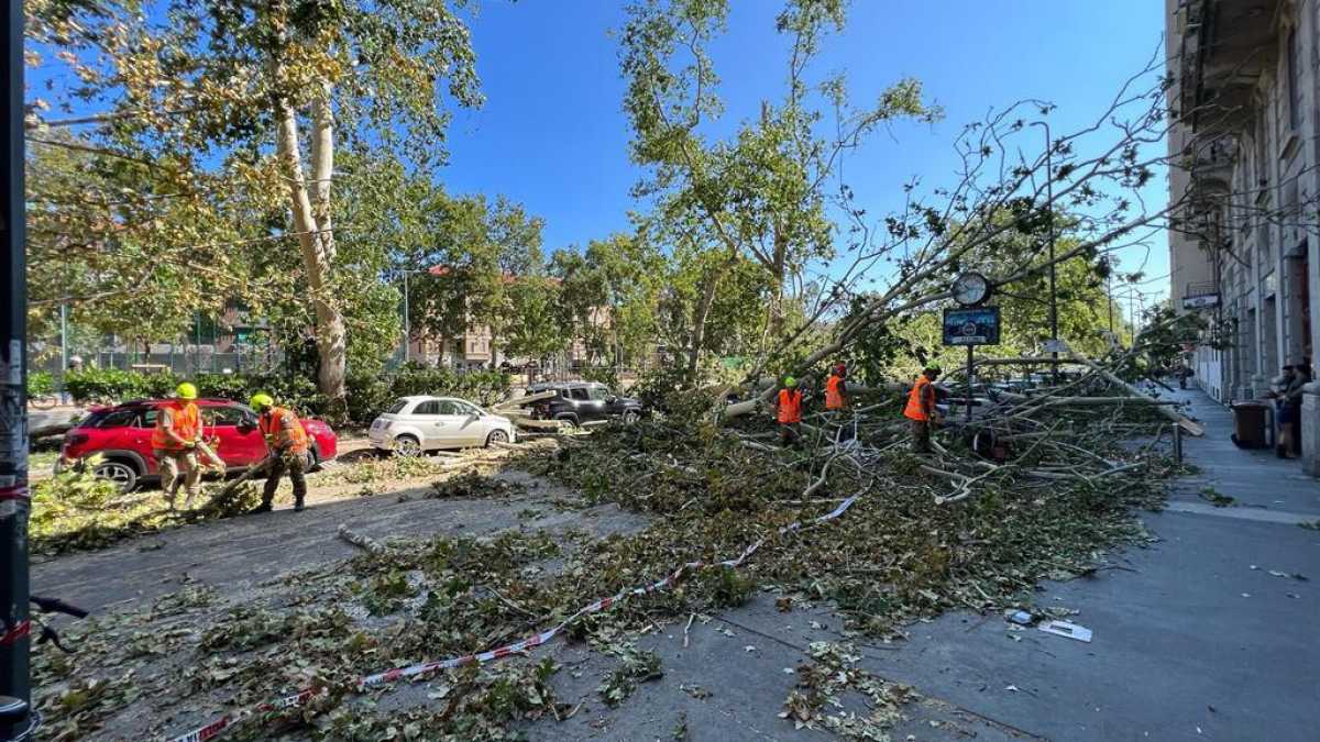 Immagine di Quel gran pezzo di Romagna. I soldi del governo non ci sono ma è in atto un miracolo industriale