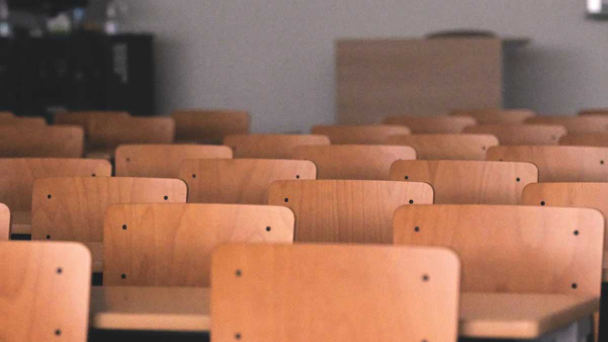 Immagine di Cosa dice del valore dello studio l'acquisto su Telegram delle risposte al test di Medicina