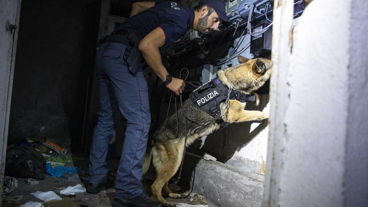 Immagine di Dopo Caivano, nuove operazioni di polizia a Roma e Napoli