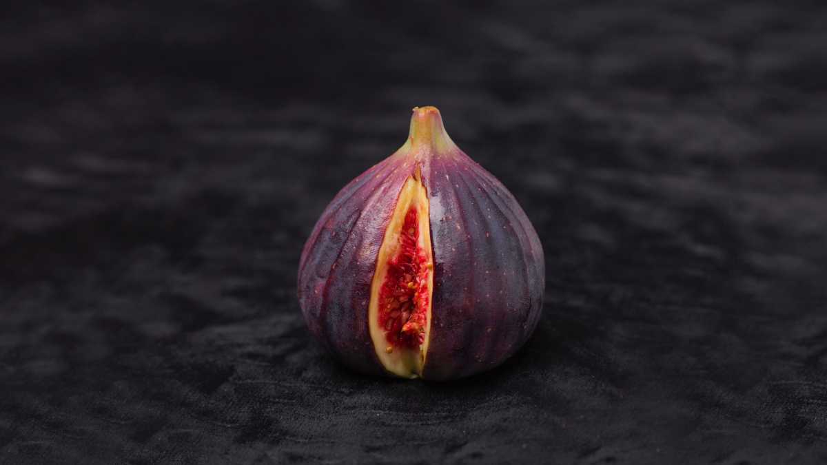 Immagine di Cento euro tra i più onesti che mi sia guadagnata