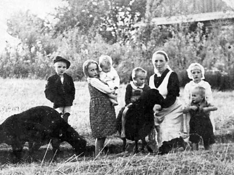 Wikimedia Commons 