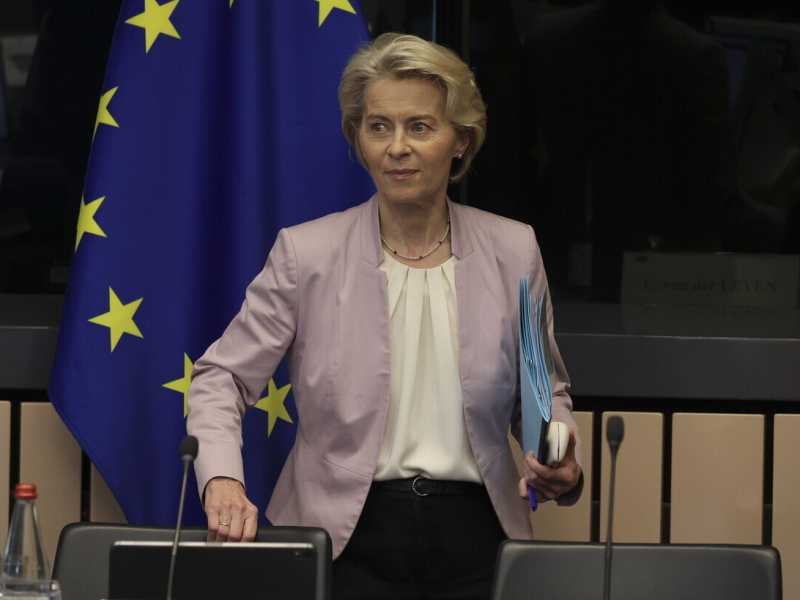 Ursula von del Leyen (Ansa)
