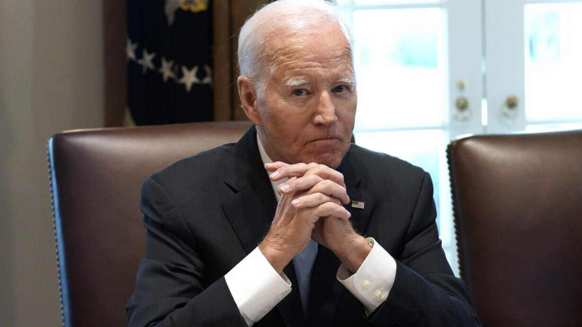 Immagine di Perché Biden va benissimo così