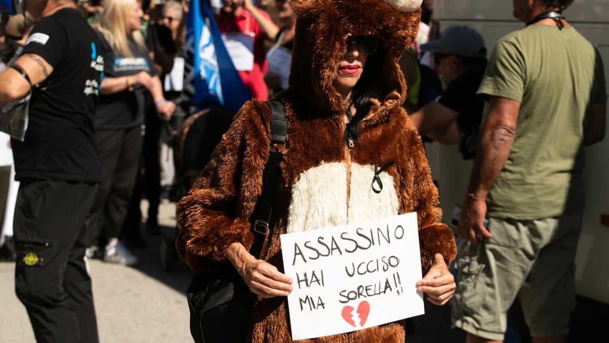 Immagine di Amarena e Jj4. Storia di un rapporto ambiguo, quello tra uomini e orsi