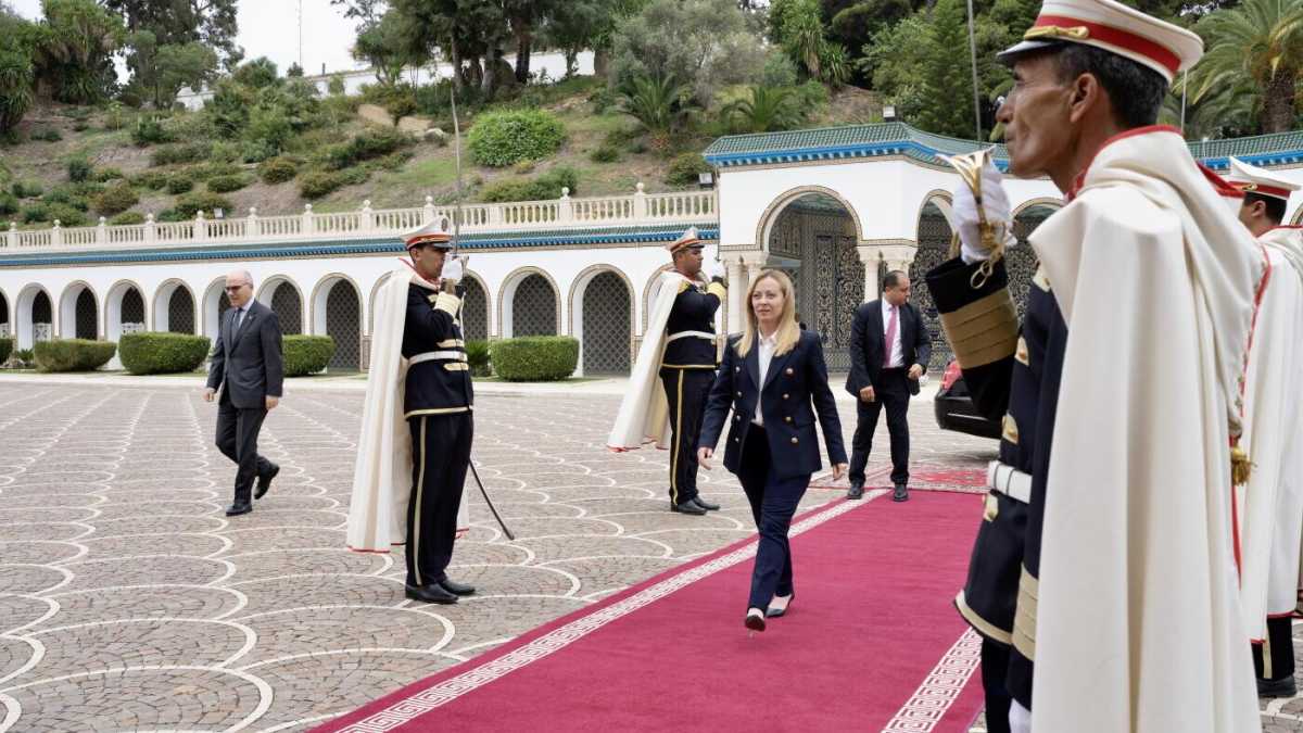 Immagine di Meloni nella palude tunisina