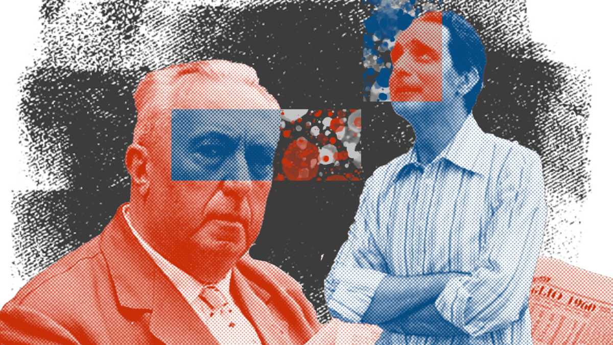 Immagine di Gadda e Calvino monumenti della letteratura? Anche no