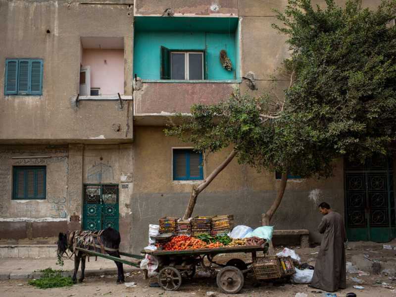 Un uomo vende frutta e verdura nel quartiere povero della "Città dei morti" il 14 dicembre 2016 al Cairo, in Egitto (Foto di Chris McGrath/Getty Images) <br />
