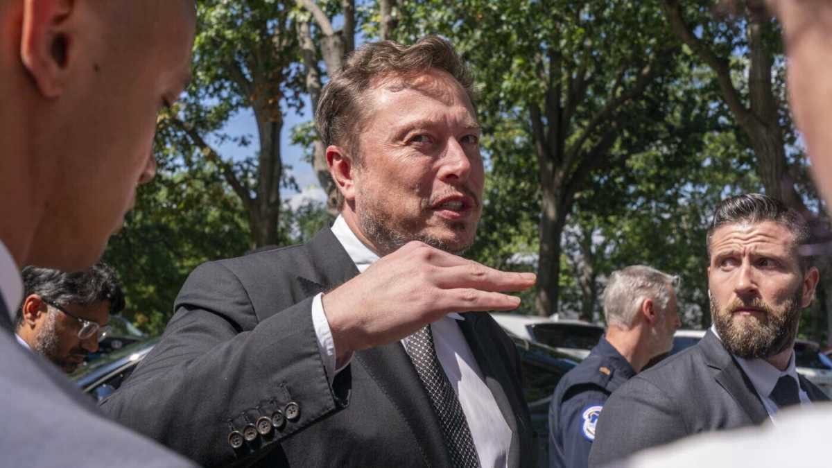 Immagine di Il tempo di Napo-Elon Musk