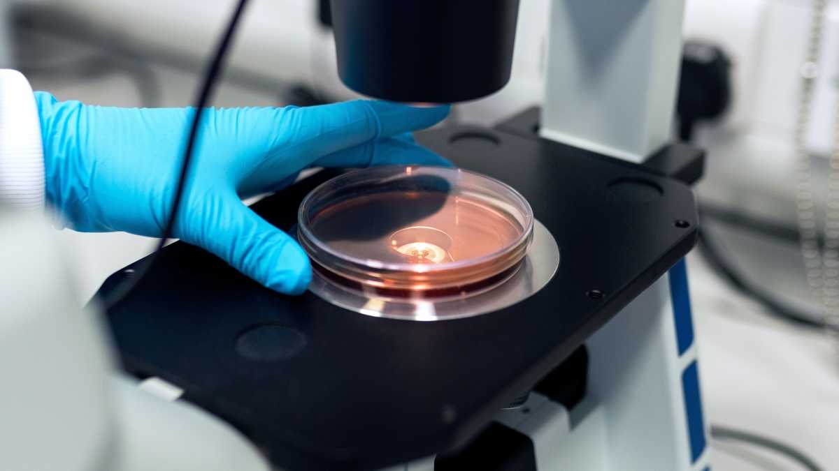 Immagine di Come le ricerche sul nostro microbioma stanno cambiando la percezione che abbiamo di noi stessi