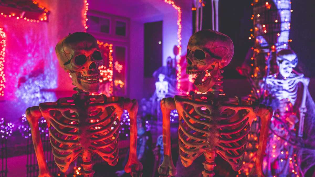 Immagine di Il volontario con la pertica in obitorio