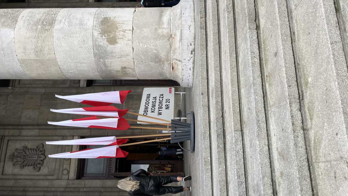 Immagine di La Polonia si mette in fila per votare