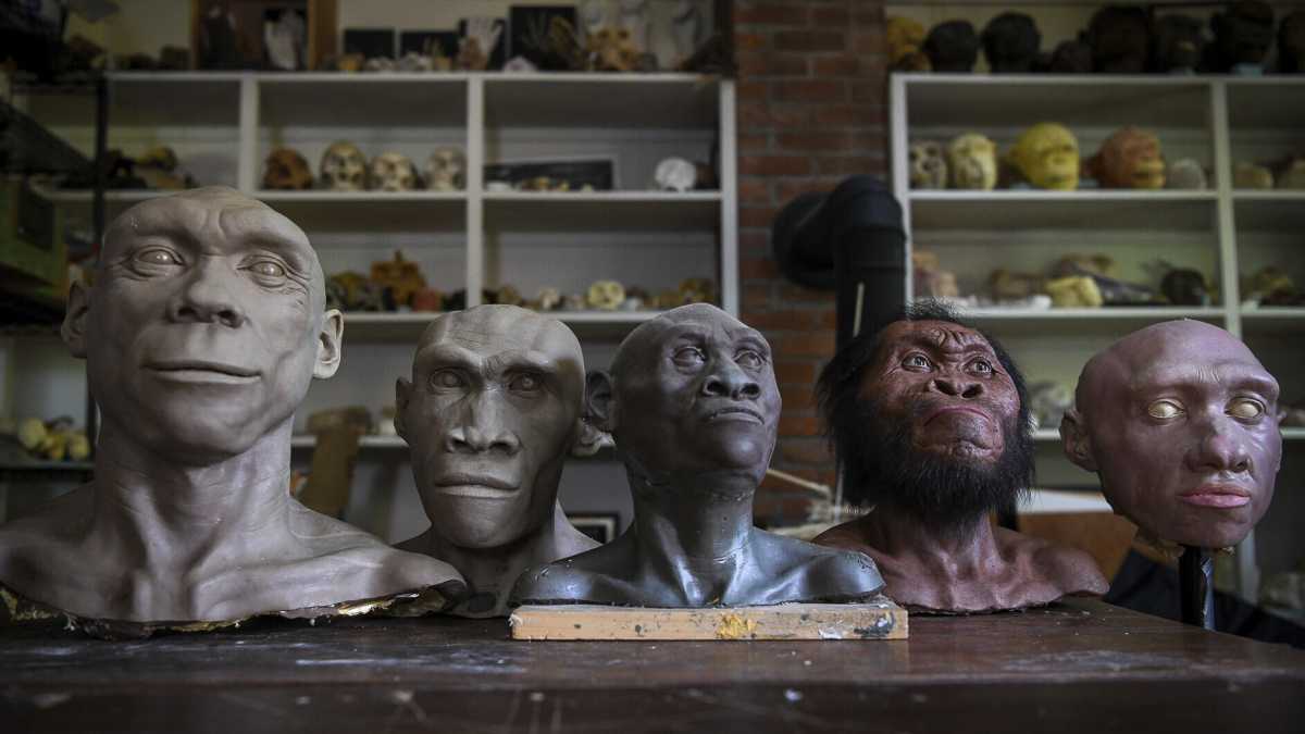 Immagine di Anche in Africa i Neanderthal hanno lasciato traccia genetica di antichi incroci