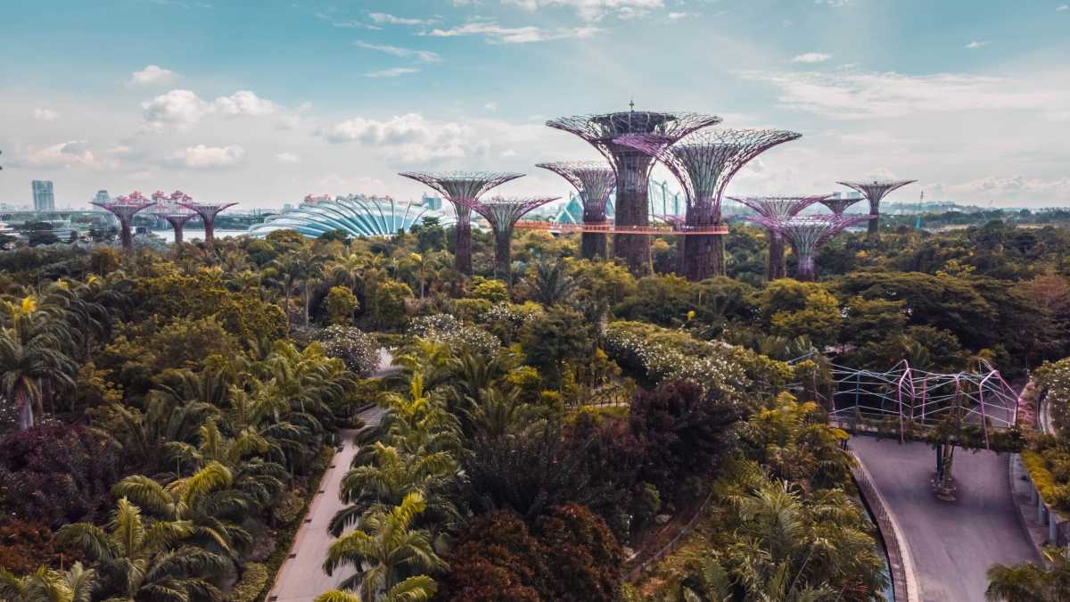 Immagine di Tra Musk e Bin Salman. Idee per una terza via per il futuro delle città