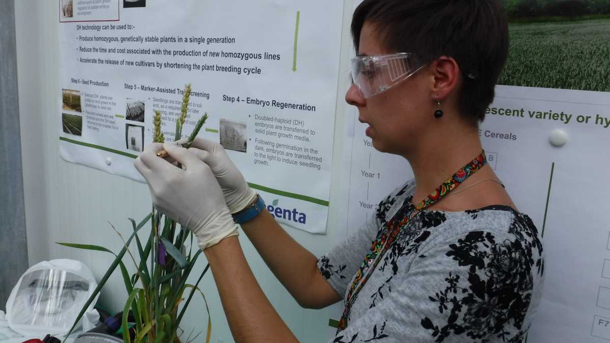 Immagine di Agrofarmaci e intossicazioni: numeri che non tornano