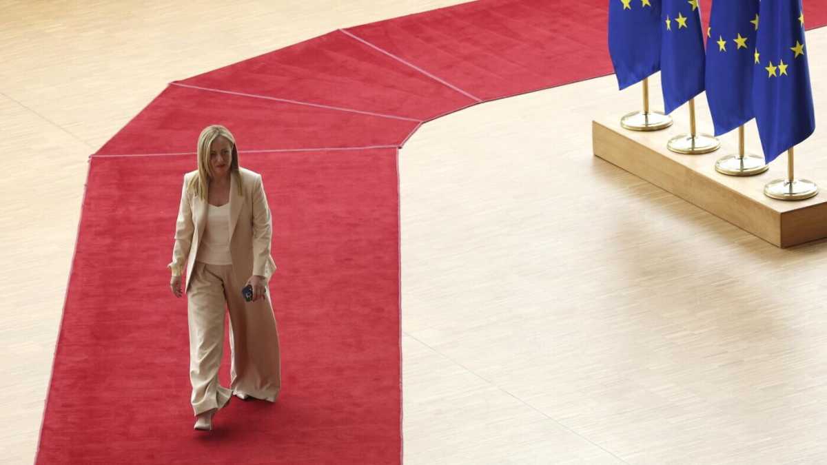 Immagine di Nuovo compagno cercasi, età e peso da valutare. Meloni da Eliana Monti