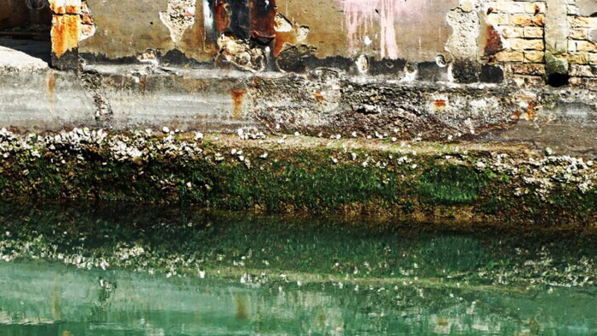Immagine di Restaurare un’opera di Banksy è un gesto di riguardo per il nostro presente