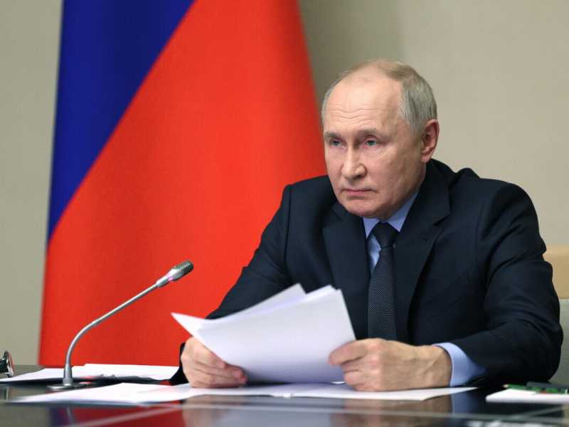 Vladimir Putin (Ansa)