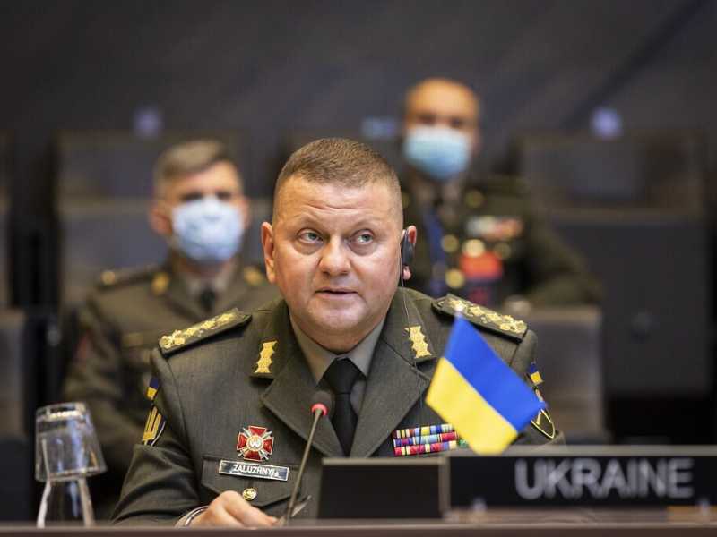 Valery Zaluzhny - Flikr